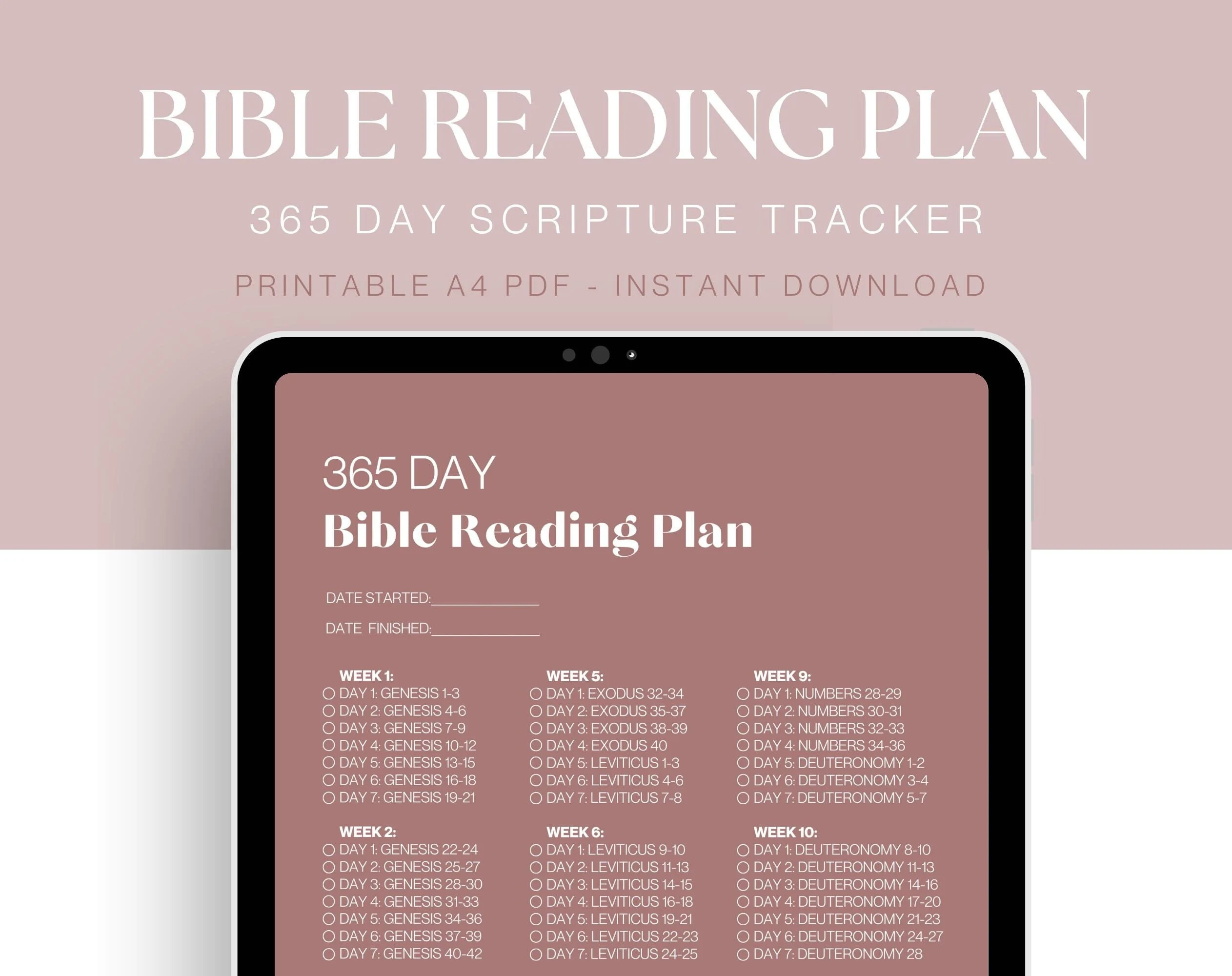 Chronological Bible Reading Plan 365 Day