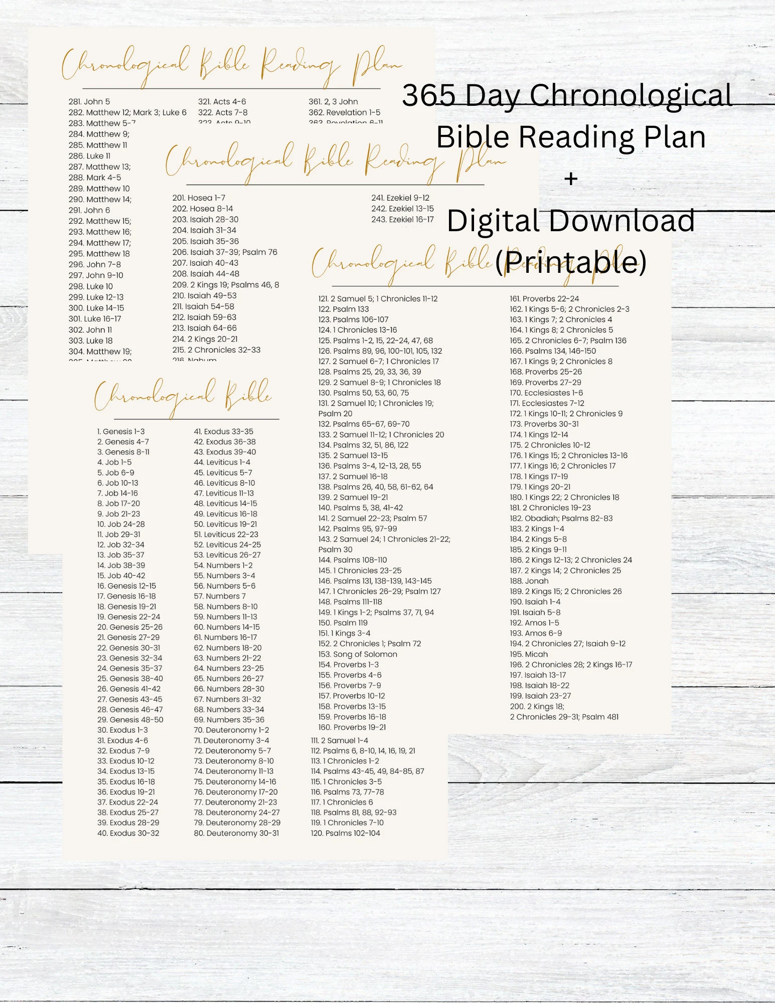Chronological Bible Reading Plan 365 Day