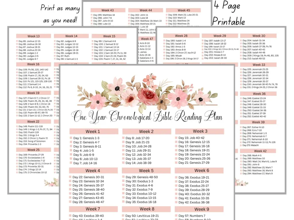Chronological Bible Reading Plan One Year