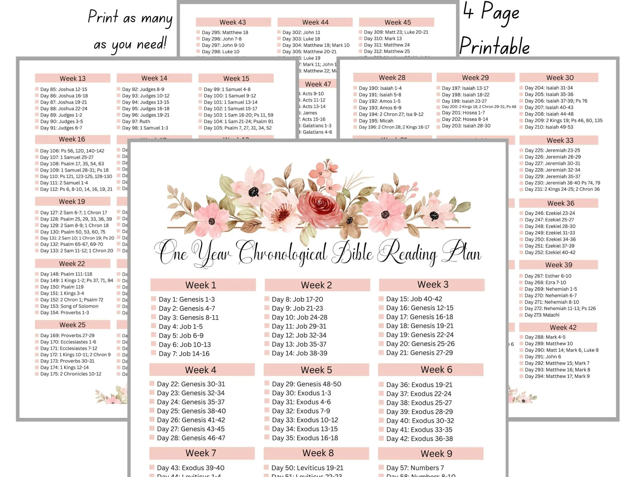 Chronological Bible Reading Plan One Year