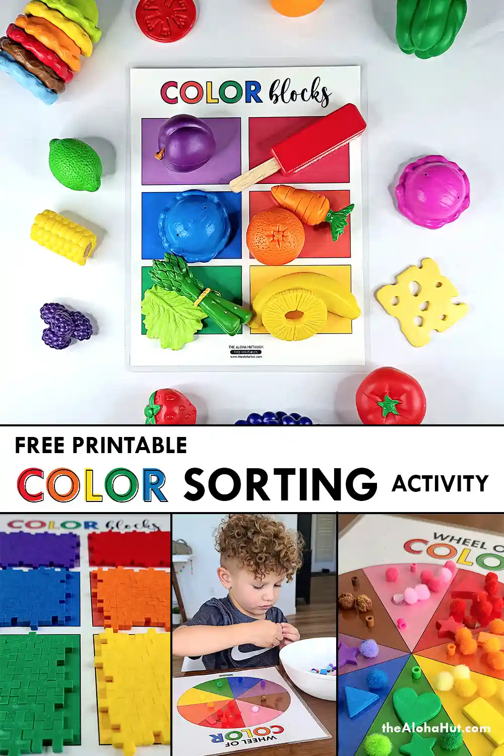 Color Sorting Activity For Toddlers Preschoolers