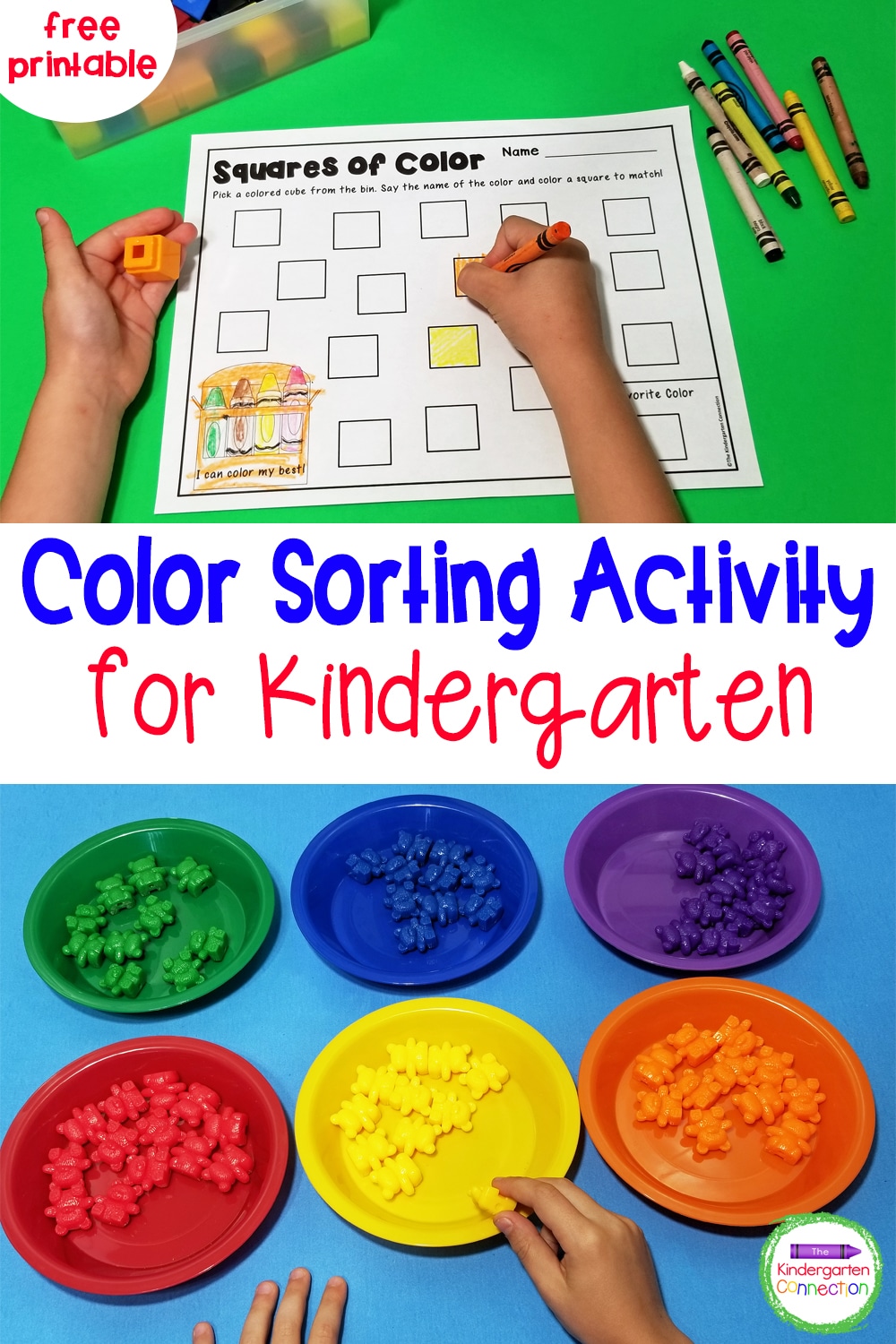 Color Sorting Center Activity