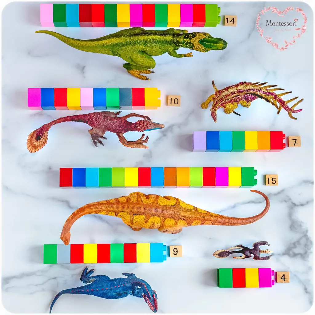 Dinosaur Measure Sort Kids Activities
