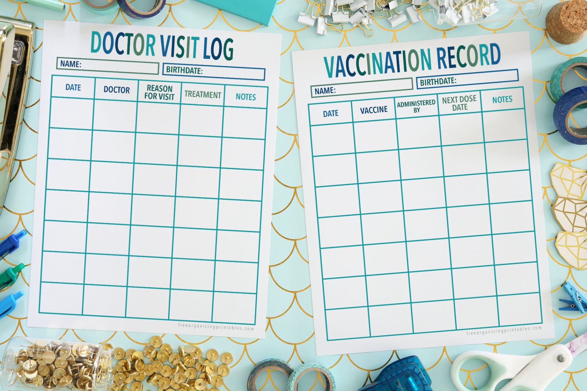 Doctor Appointment Log Vaccination Record