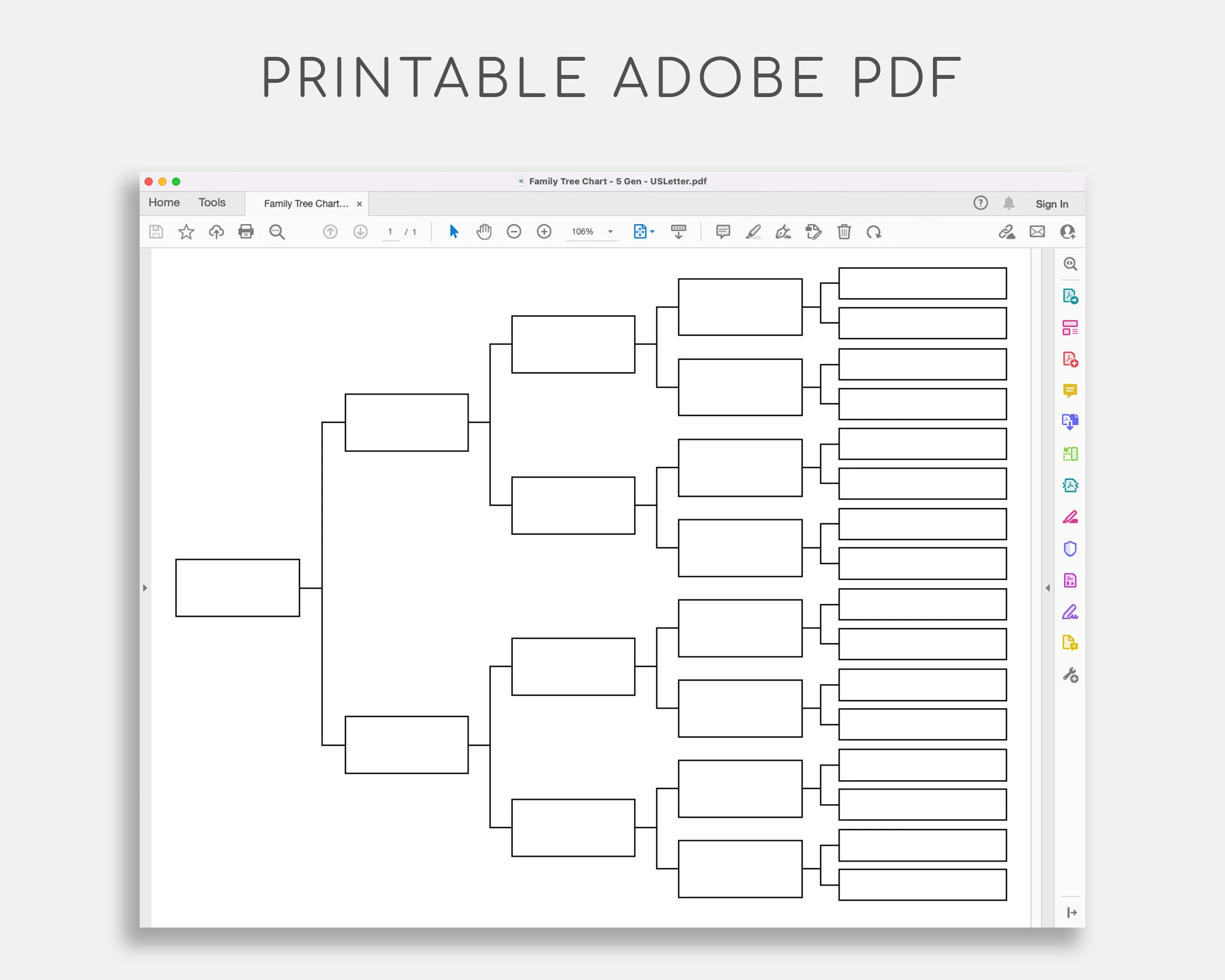 Family Tree Chart Pedigree Chart