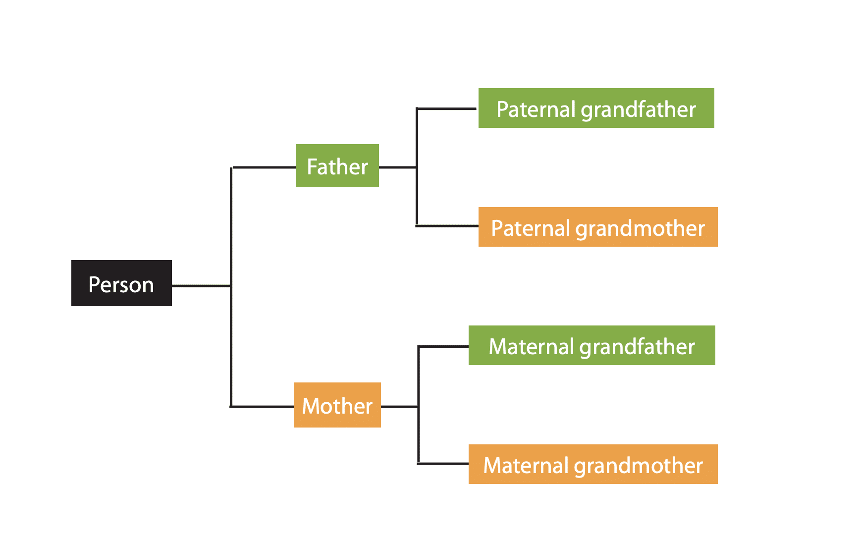 Family Tree Chart Types