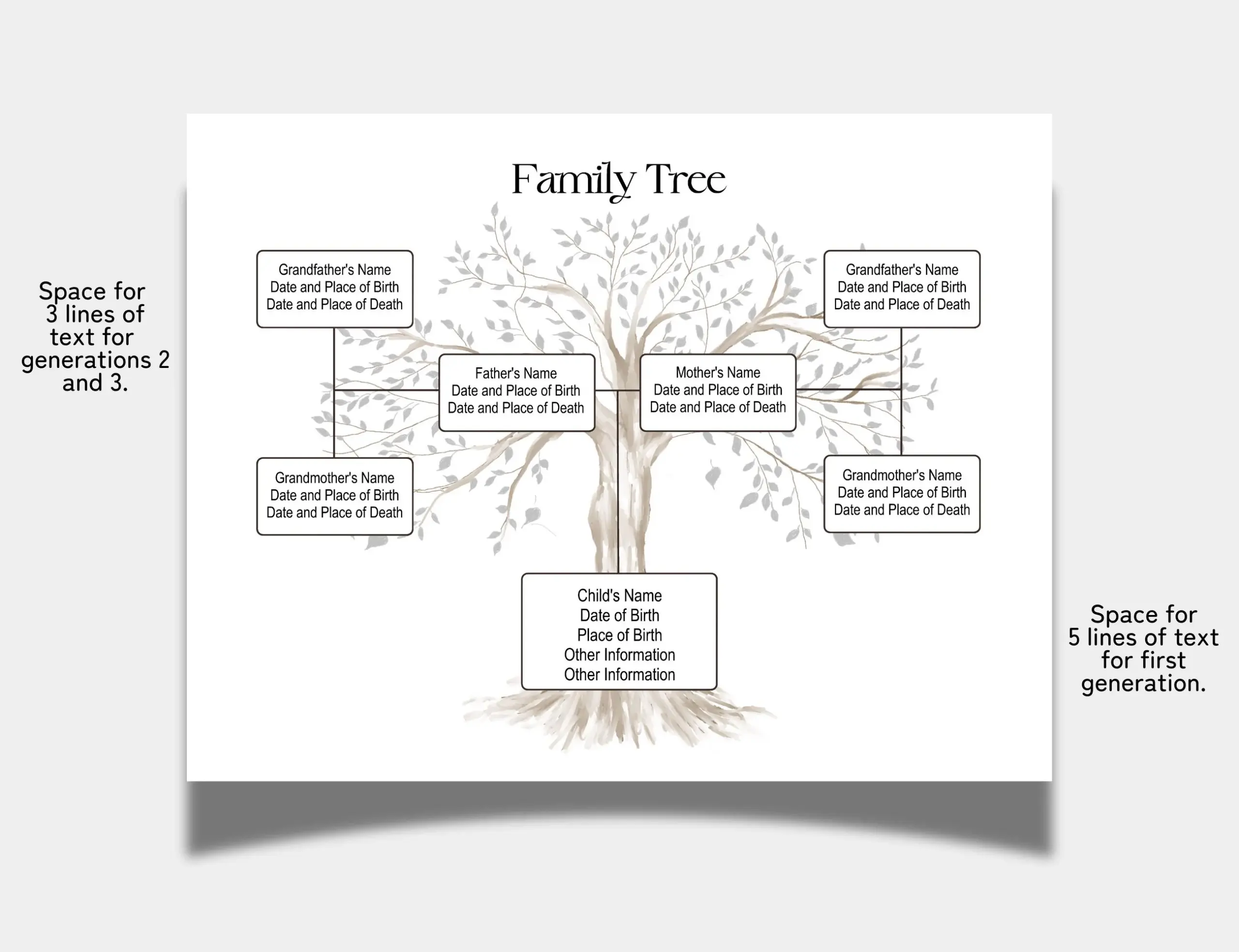 Family Tree Template 3 Generation Family