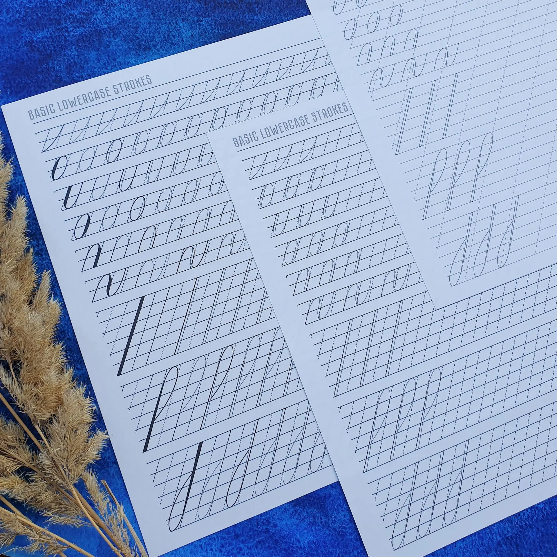Faux Calligraphy Basic Strokes Of Lowercases