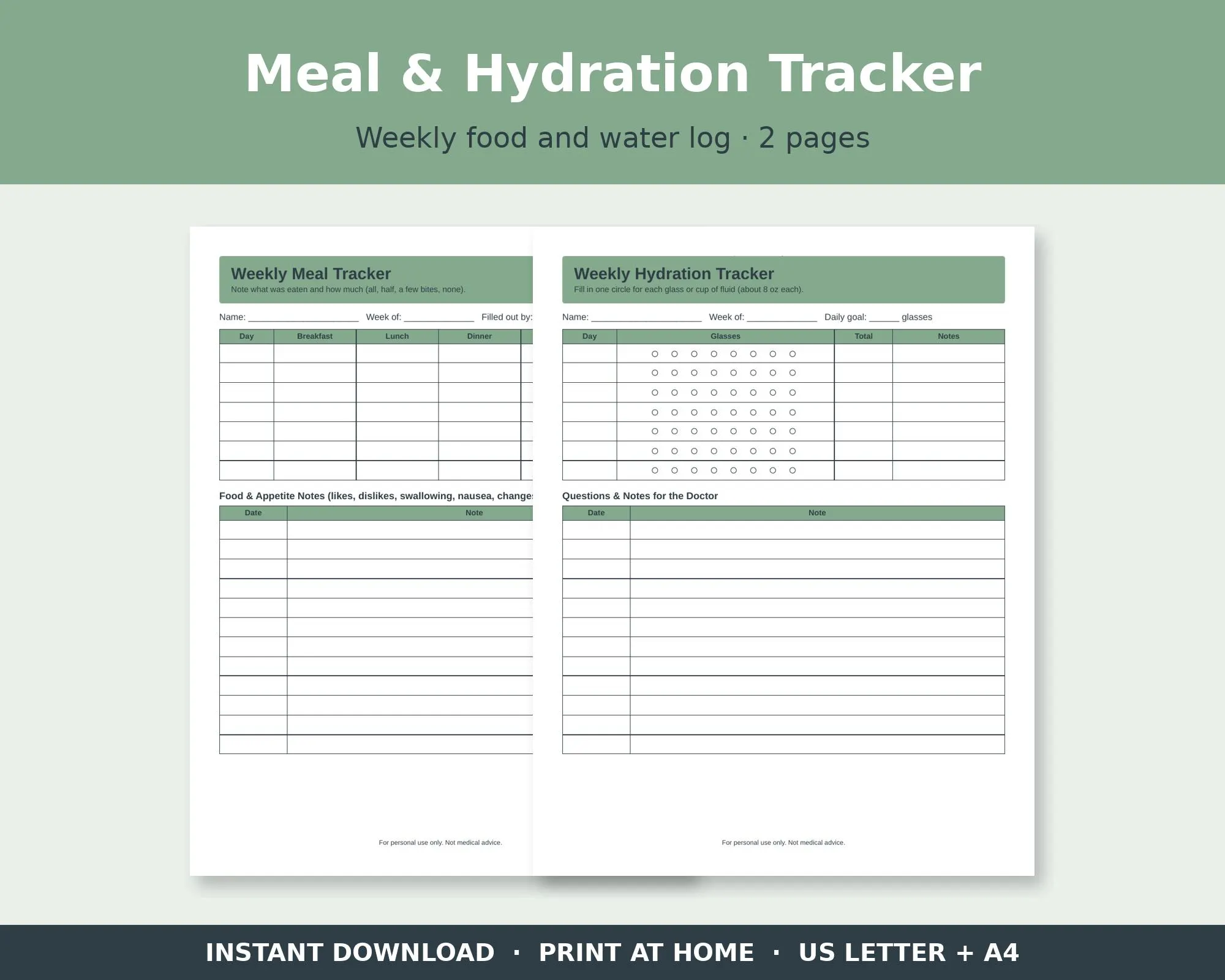 Food Intake Log For Elderly