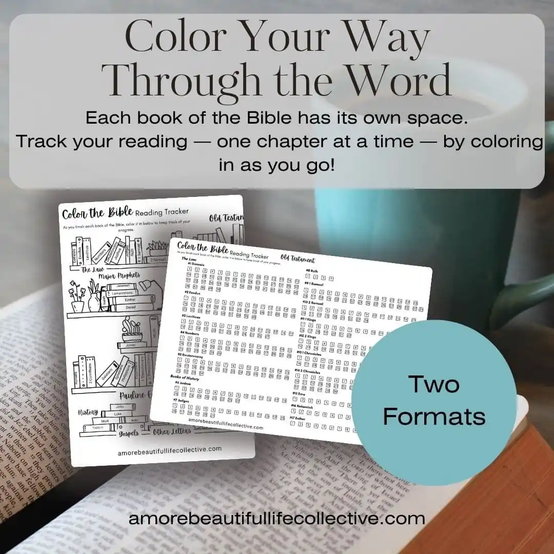 Free Color The Bible Reading Tracker