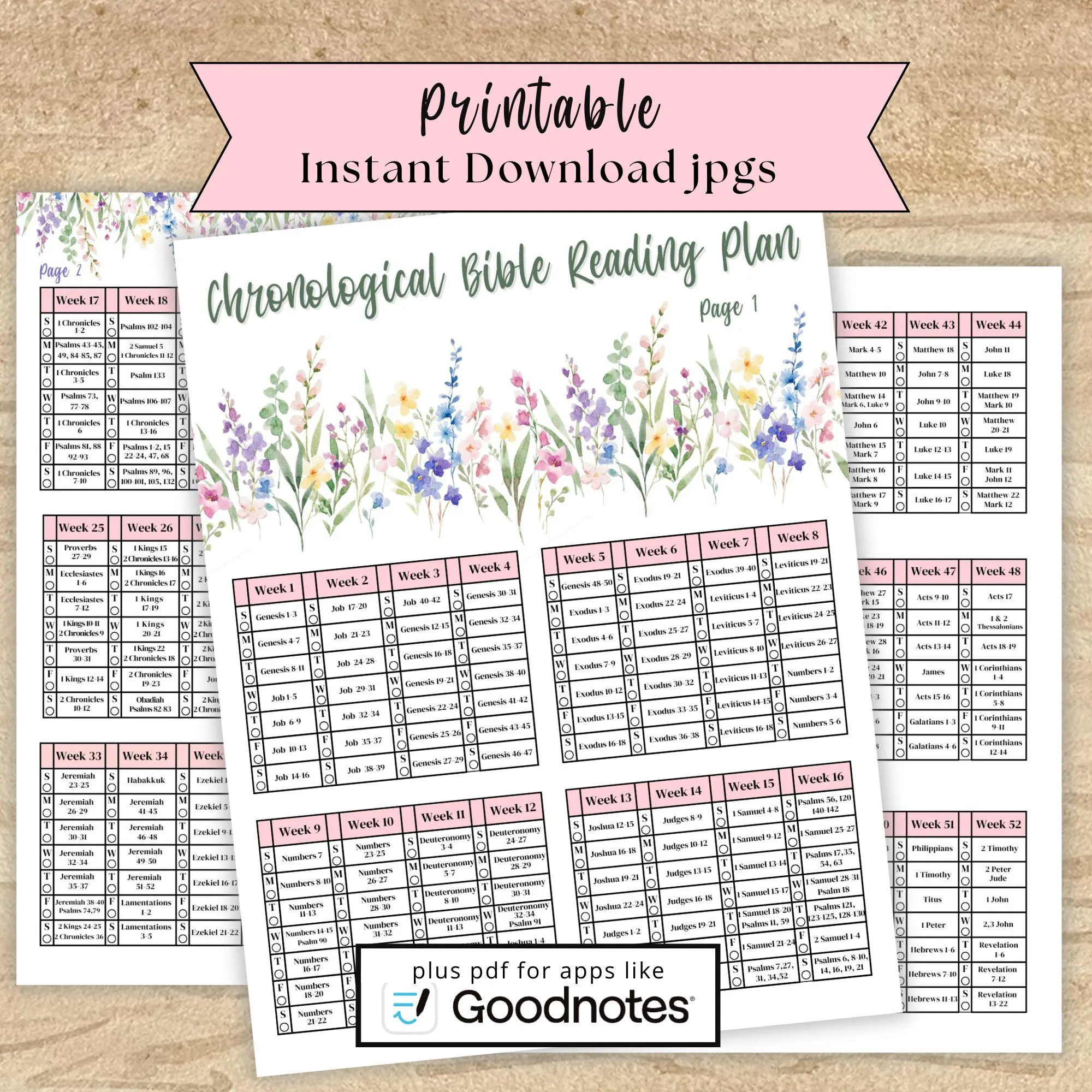 Free Printable Chronological Bible Reading Plan