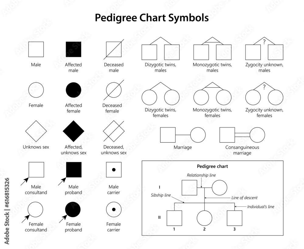 Genetic Genealogy Pedigree Chart Symbols F616815326