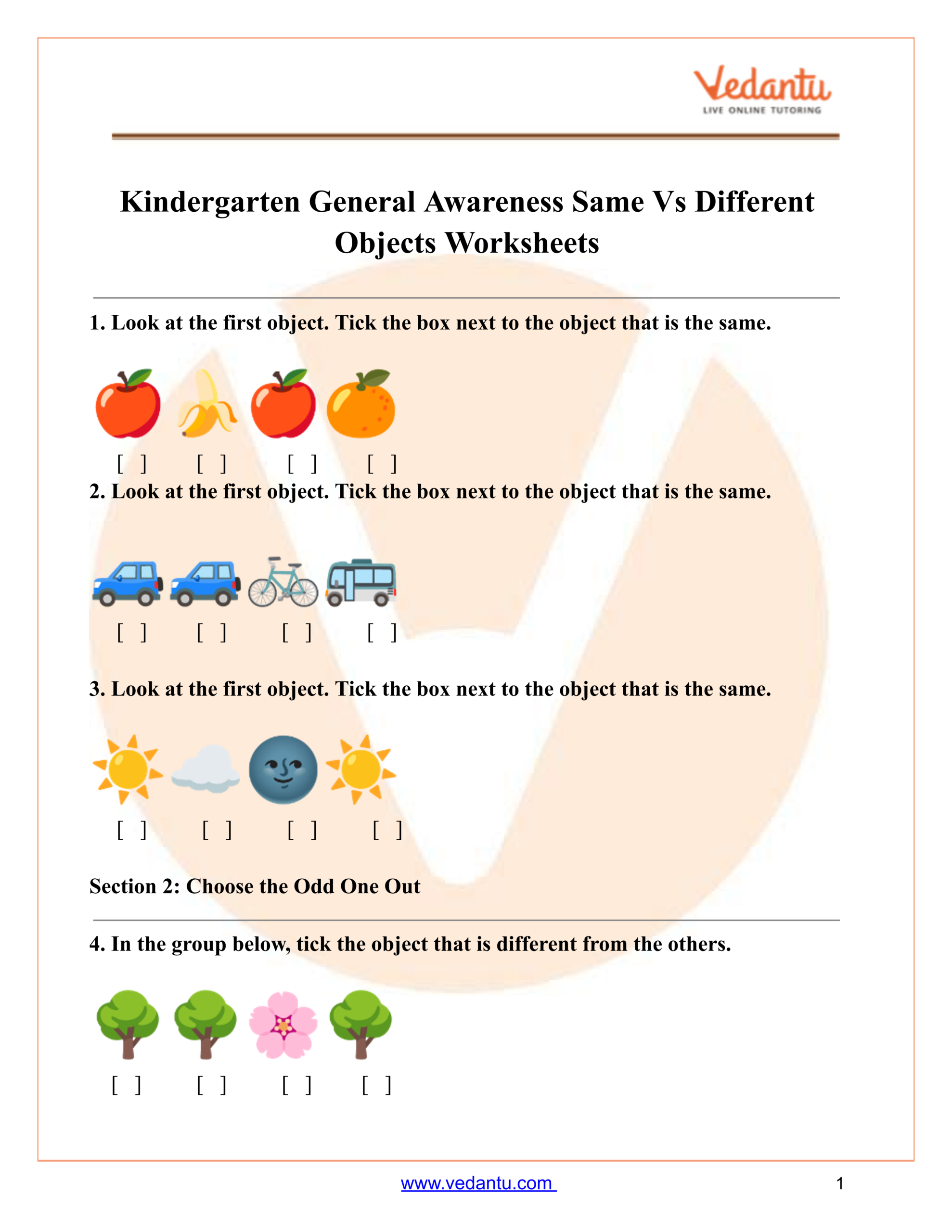 Kindergarten Same Vs Different Objects