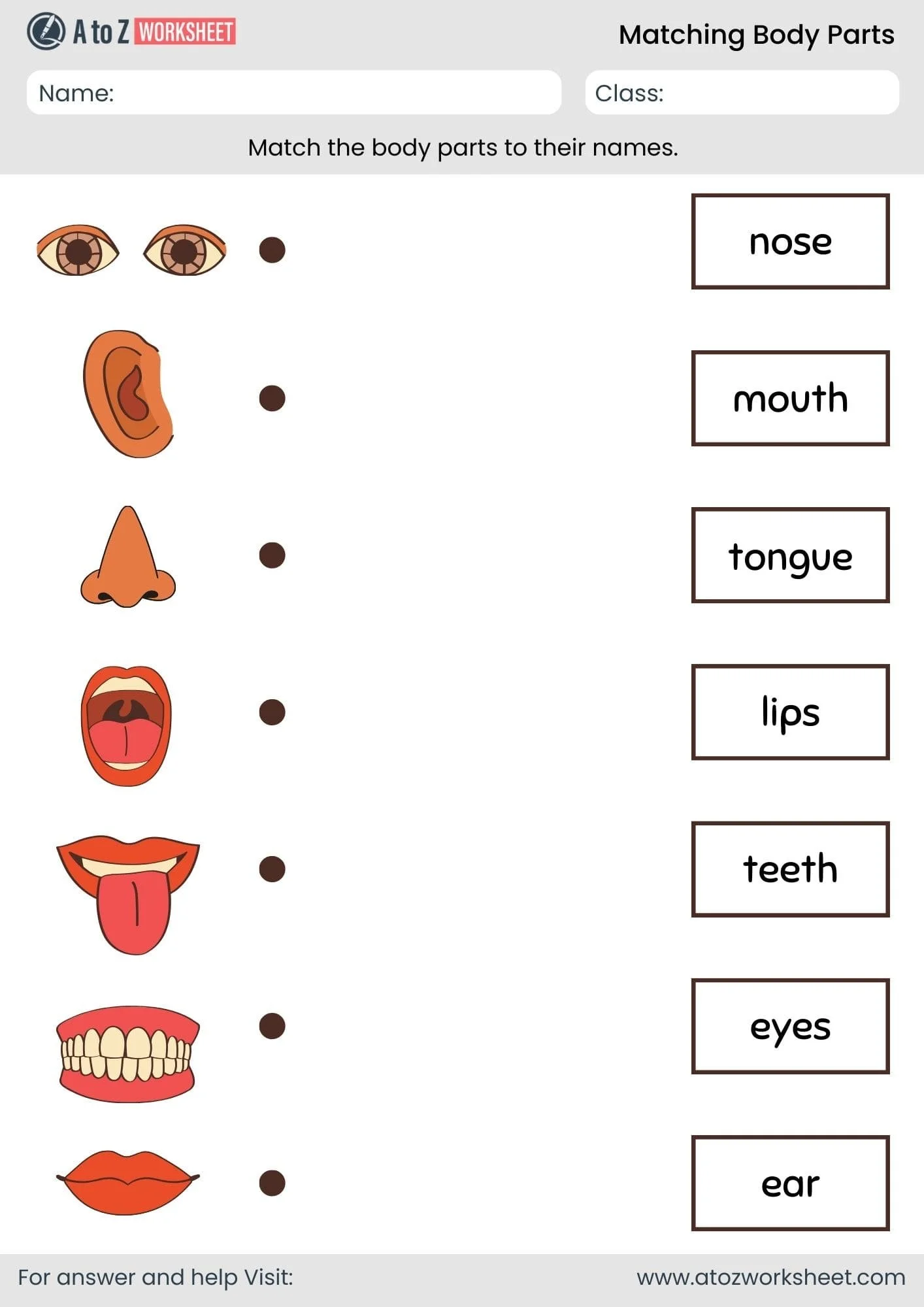Matching Worksheet For Nursery