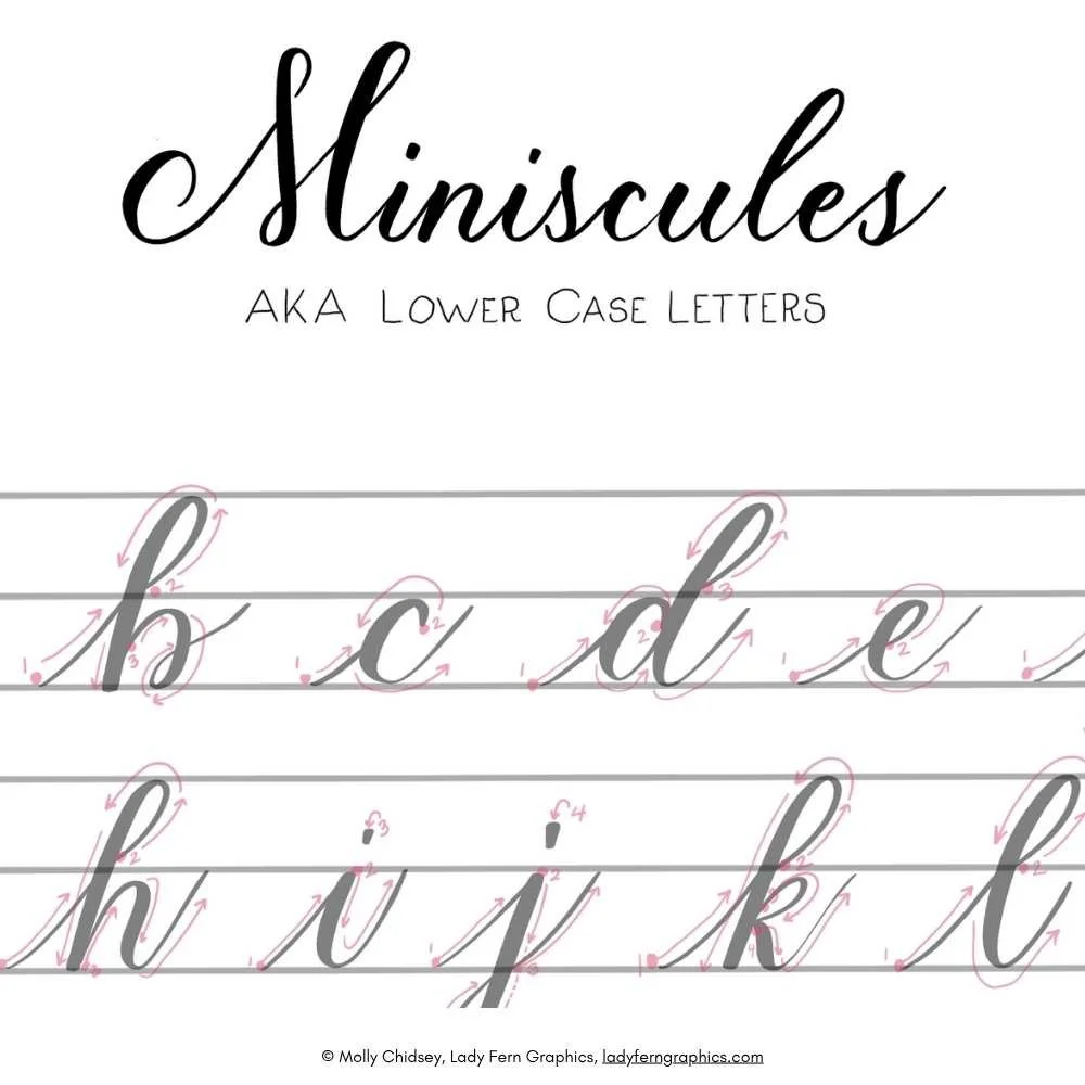 Modern Calligraphy Alphabet Worksheet Modern Calligraphy Alphabet Worksheet