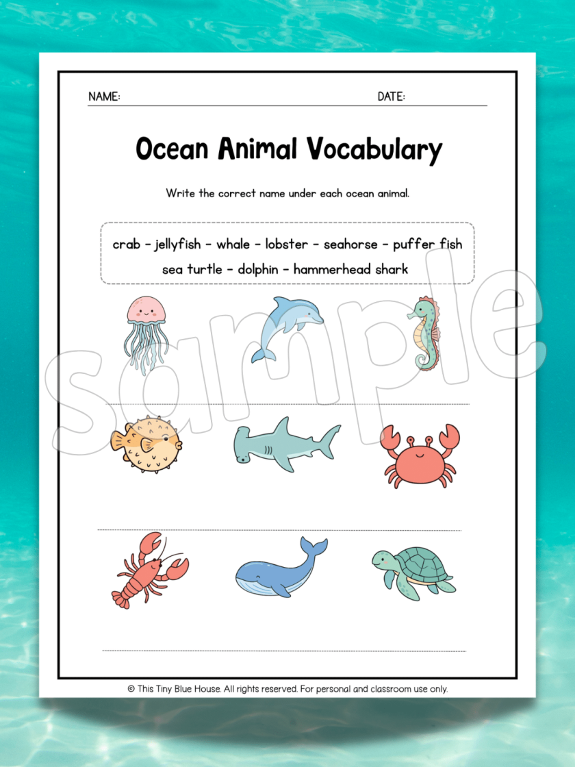 Ocean Animal Worksheets
