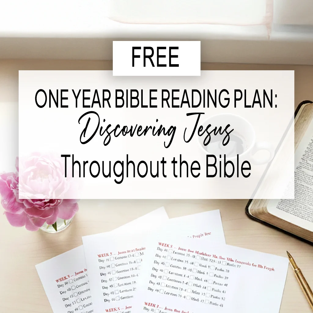 One Year Bible Reading Plan Discover Jesus