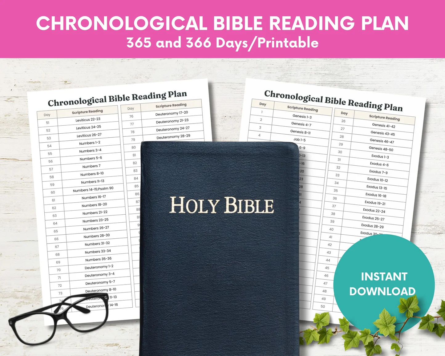 Printable 365 Days Chronological Bible Reading Plan