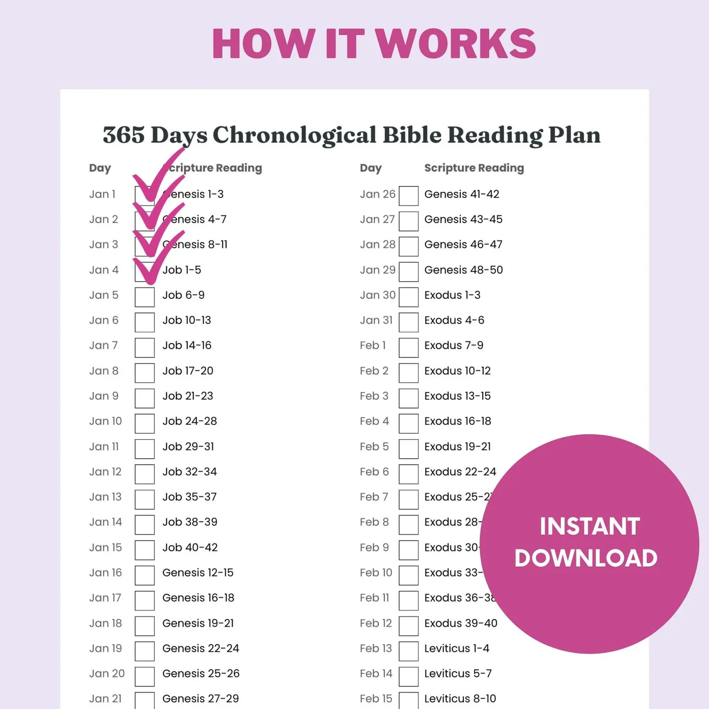 Printable 365 Days Chronological Bible Reading Plan
