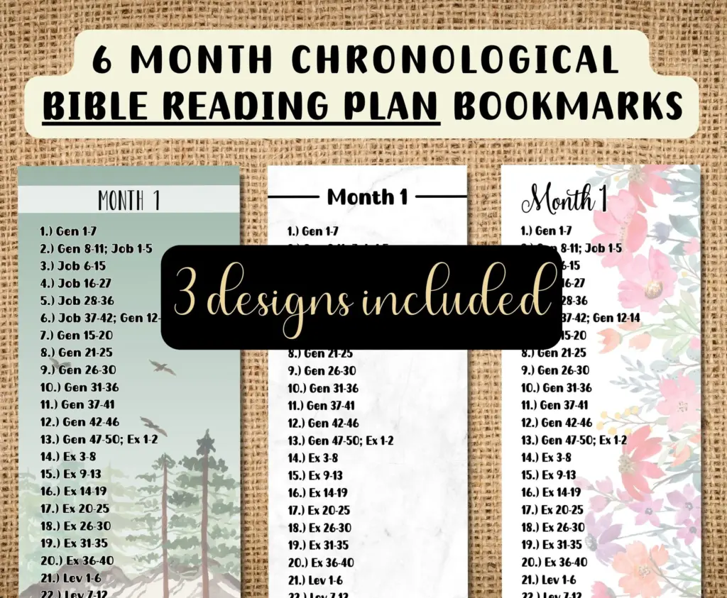 Printable 6 Month Bible Reading Plan Set
