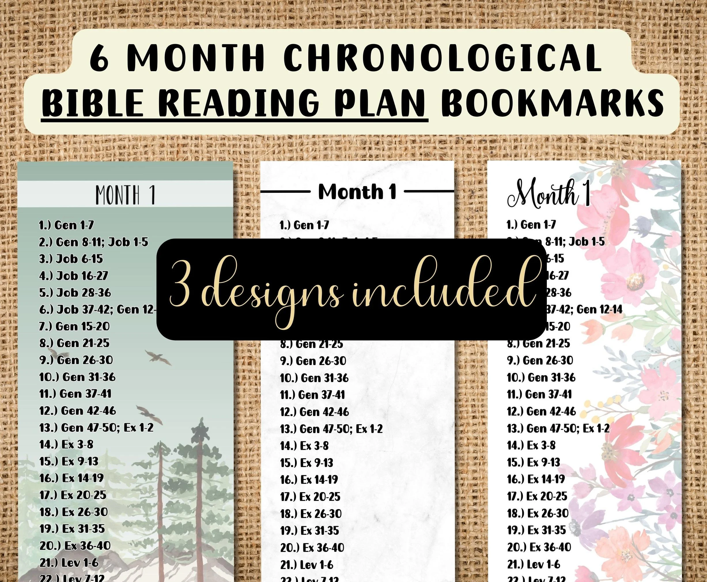 Printable 6 Month Bible Reading Plan Set