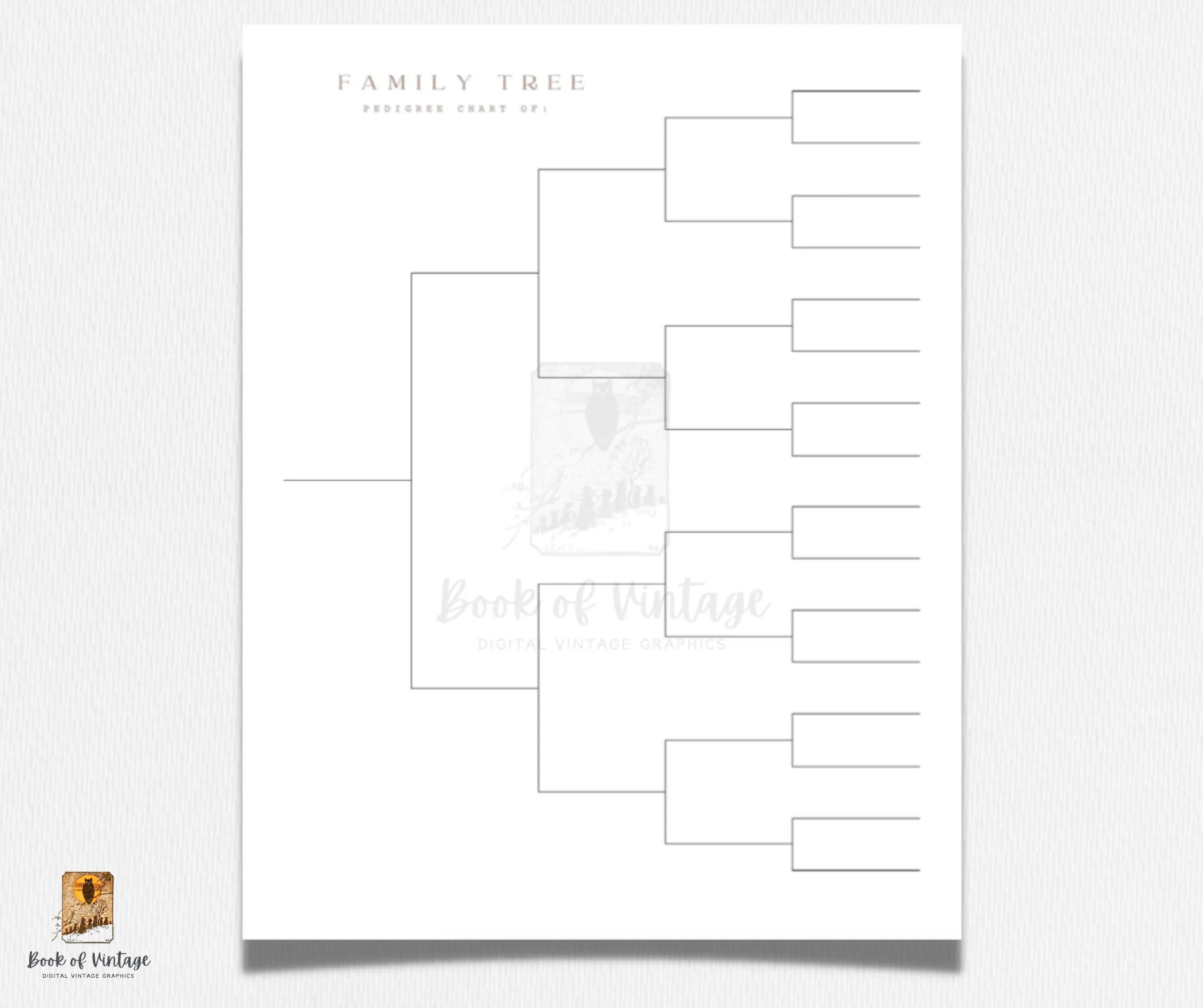 Printable Editable 5 Generation Pedigree