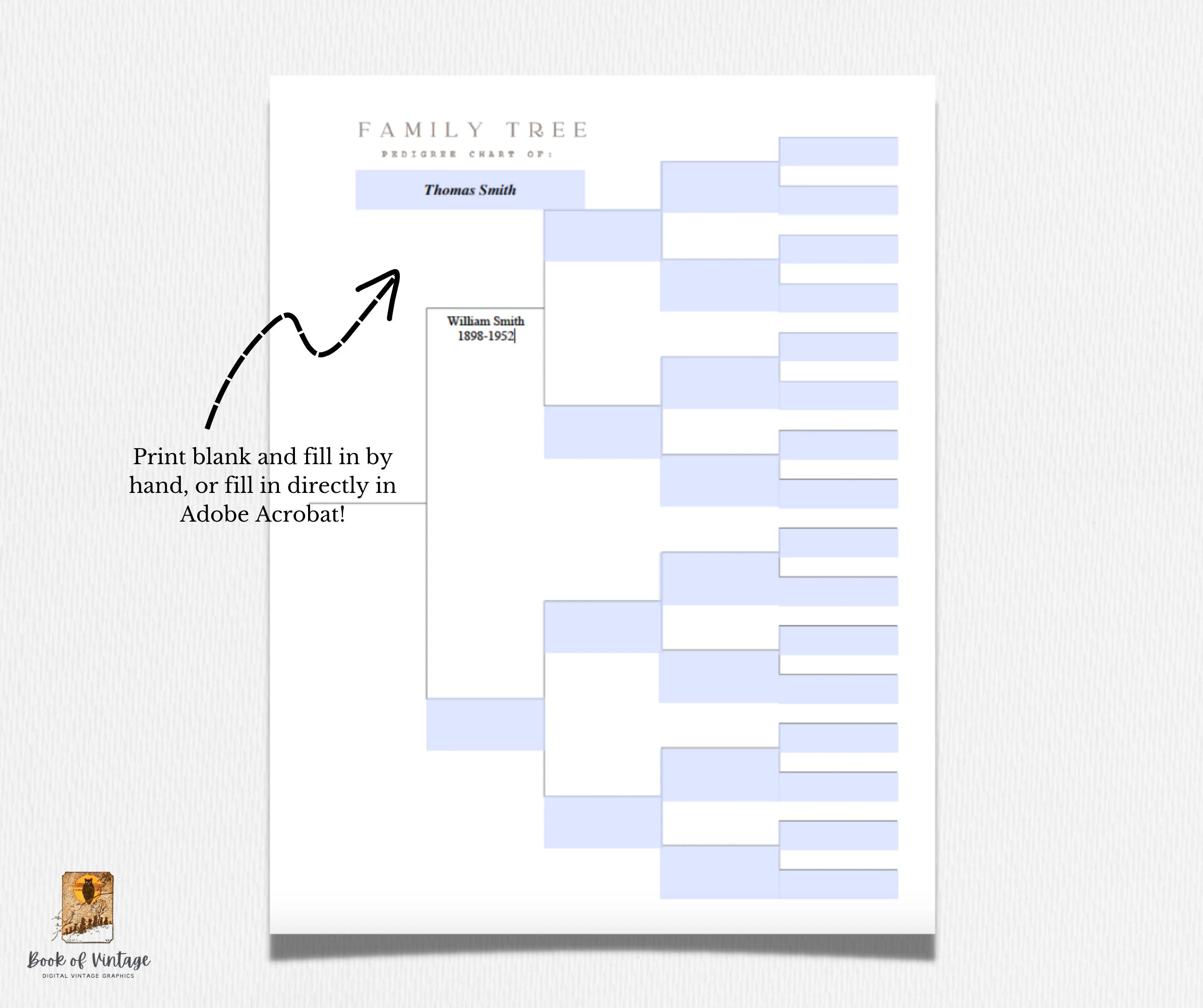 Printable Editable 5 Generation Pedigree