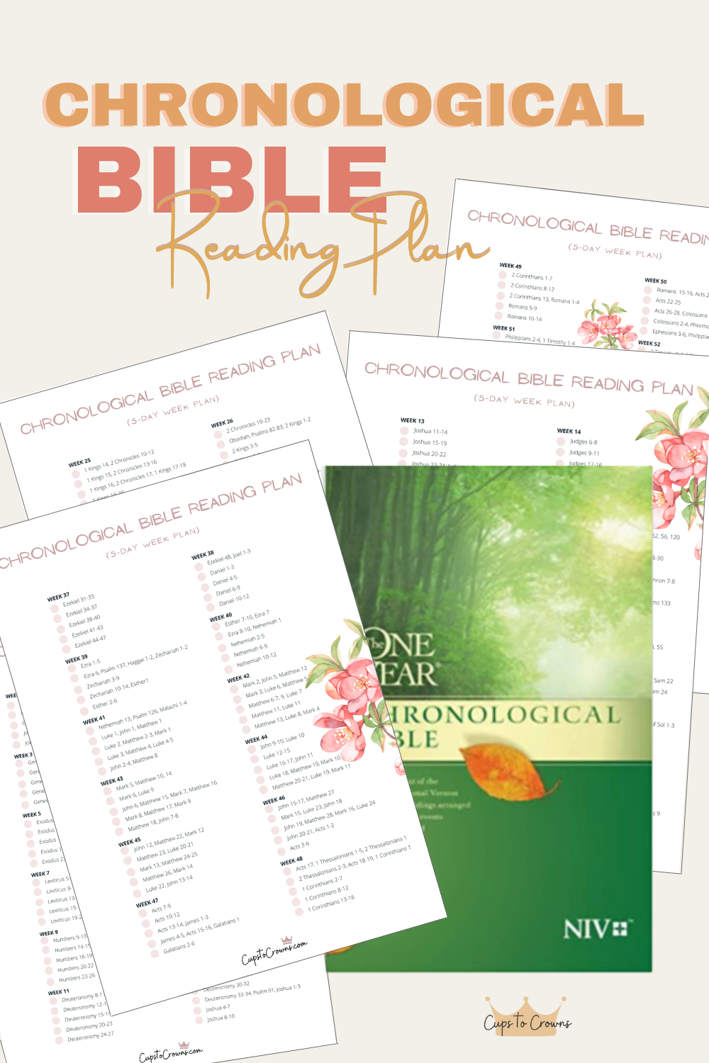 Read Bible Chronologically