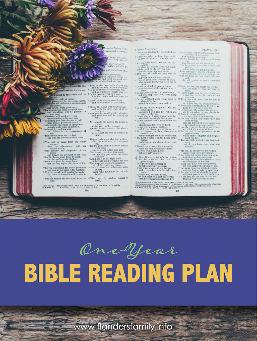 Read Through The Bible In 2012