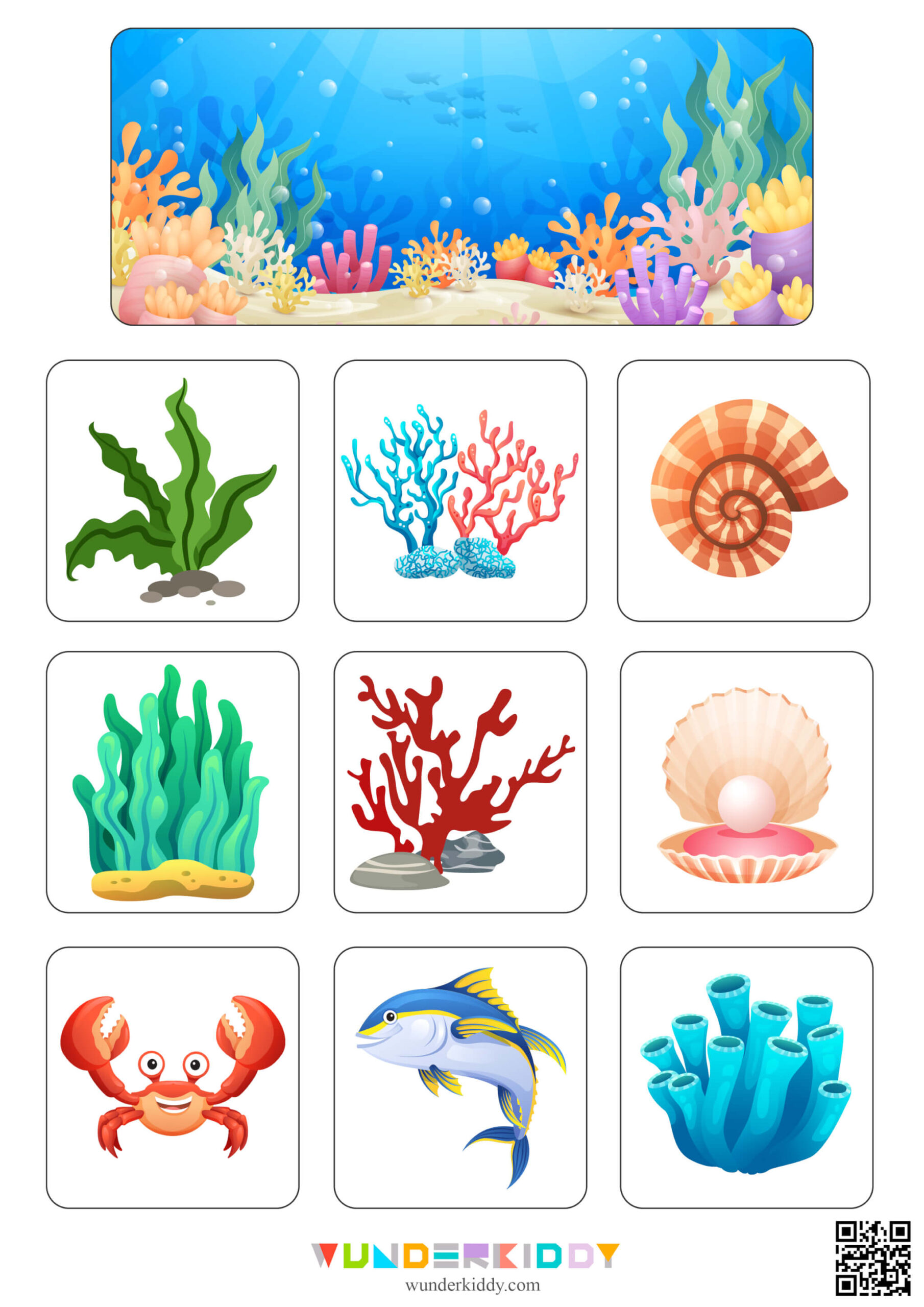 Save The Sea Life