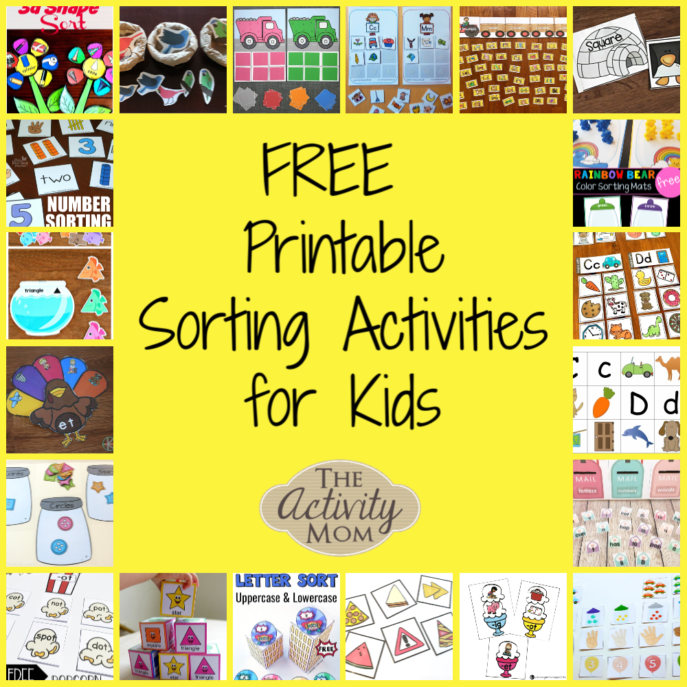 Sorting Activities