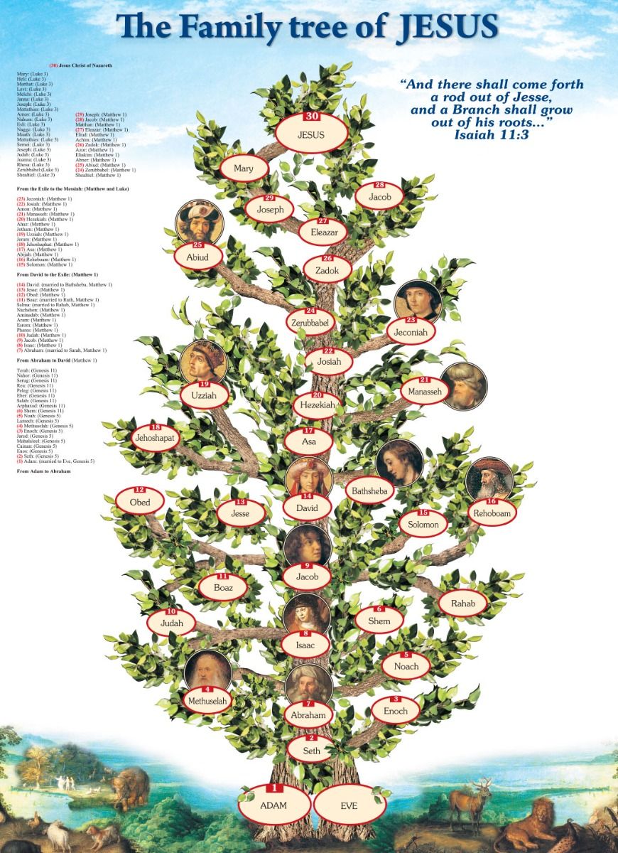 The Family Tree Of Jesus Poster