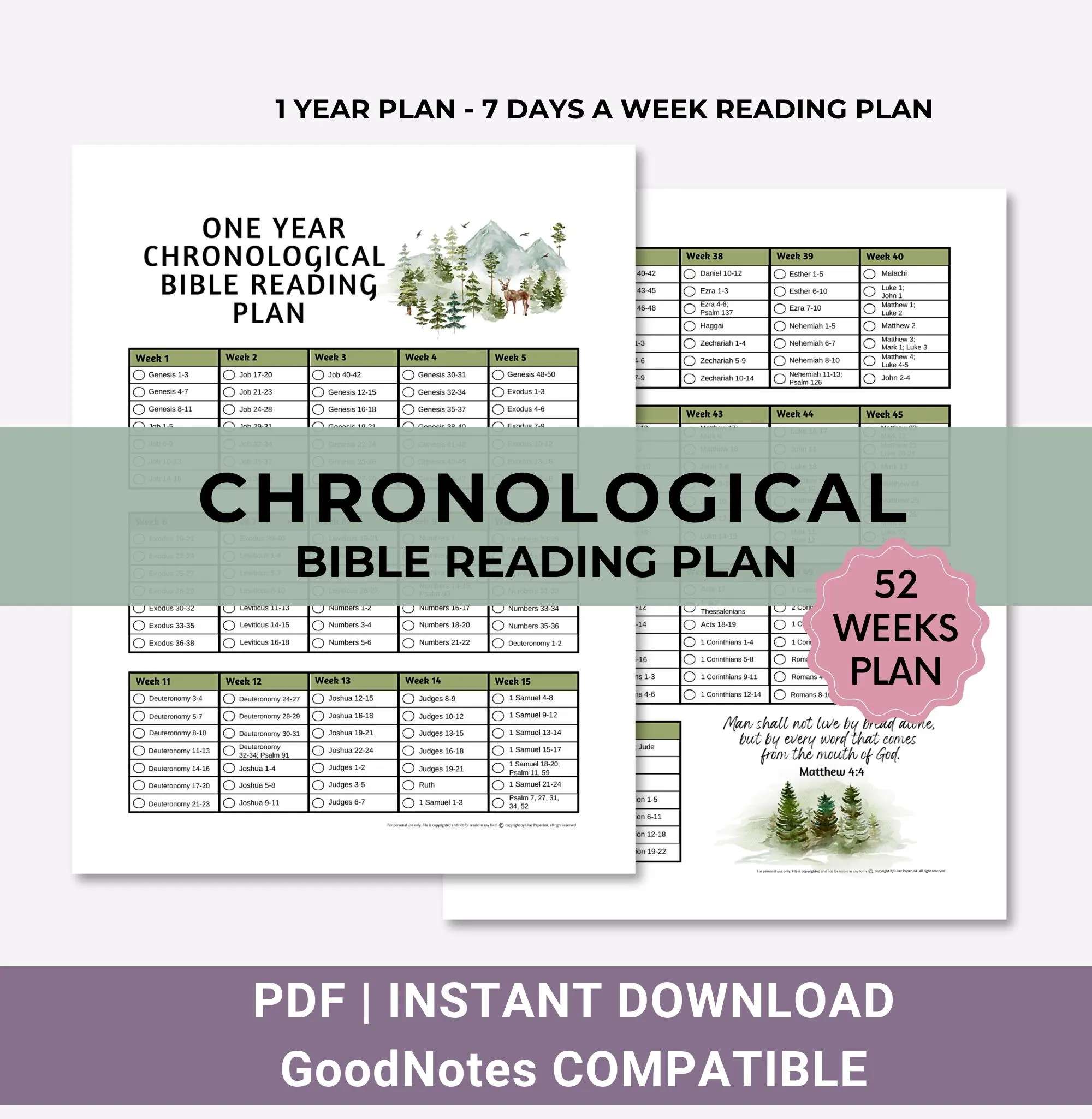 Yearly Chronological Bible Reading Plan