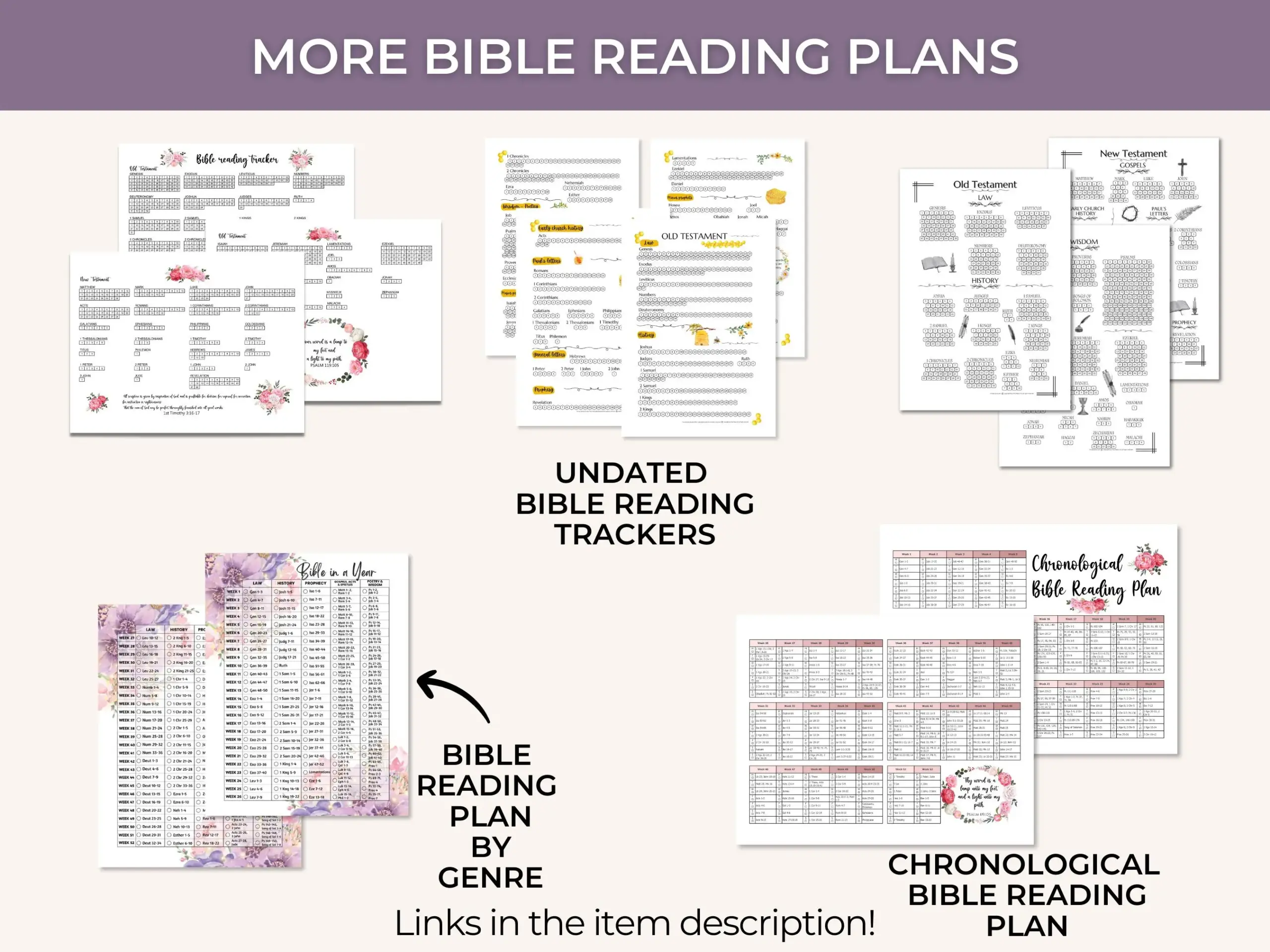 Yearly Chronological Bible Reading Plan